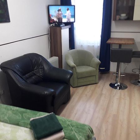 Apartment Ap 1 Im Zentrum Steyr, Bestrooms Eu 外观 照片