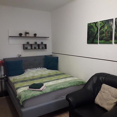 Apartment Ap 1 Im Zentrum Steyr, Bestrooms Eu 外观 照片