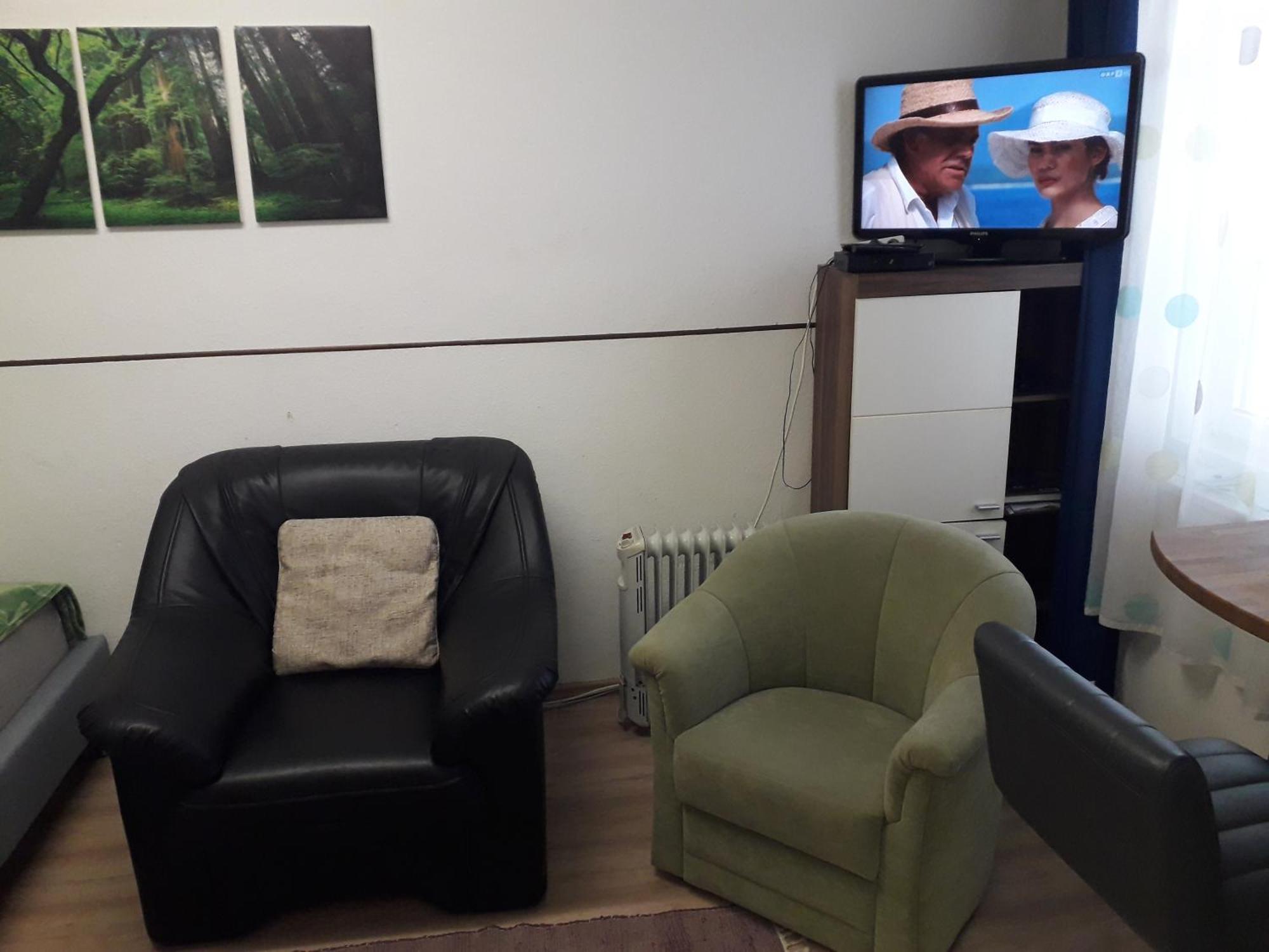 Apartment Ap 1 Im Zentrum Steyr, Bestrooms Eu 外观 照片